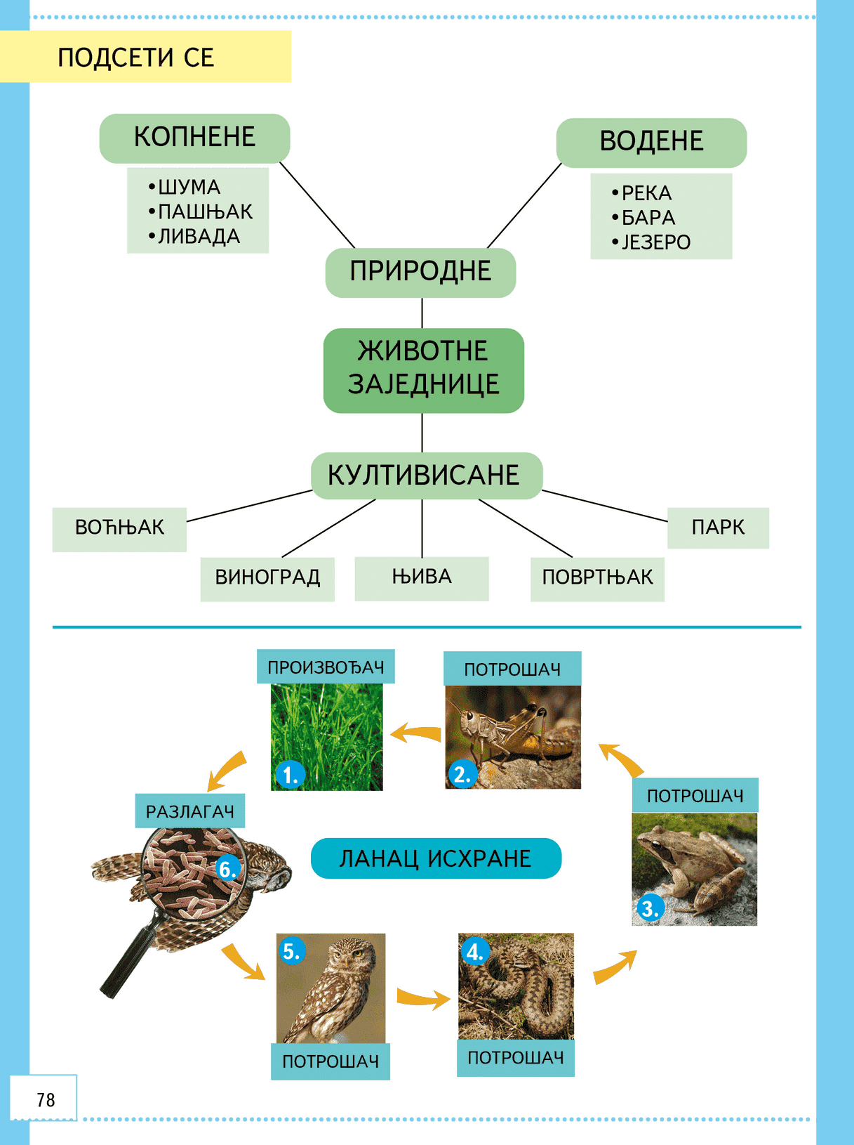Sekcija 11