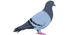 -72-1