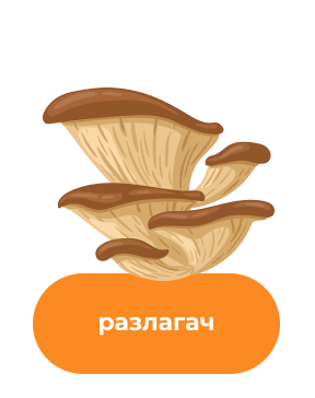 78-1